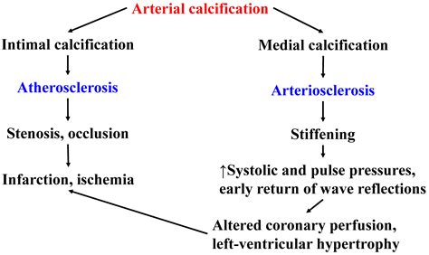 Vascular Calcification in Patients with End-Stage Renal Disease ...