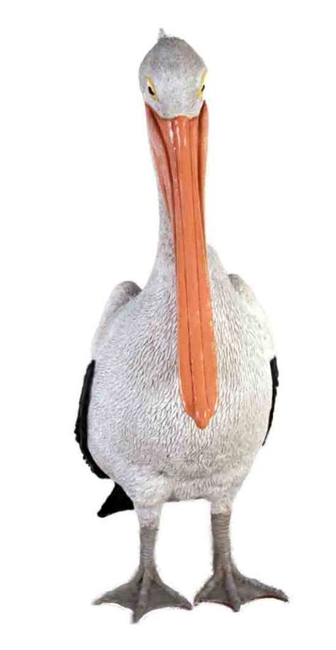 Life Size Fibreglass Resin Standing Pelican Model Hamac Trading