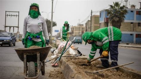 Mantenimiento De Las áreas Verdes Berma Central De La Av Malecón Checa Noticias