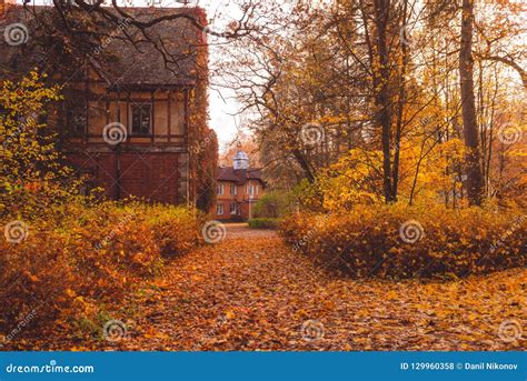 Manor House With Trees In Autumn Colors And Fall Trees Old Victorian