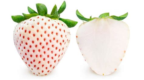 The Rare Chilean White Strawberry You Should Thank