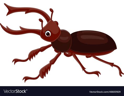 Cartoon Stag Beetle On White Background Royalty Free Vector