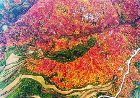 层林尽染是什么季节层林尽染层林尽染的意思大山谷图库