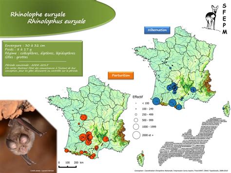 Carte de répartition des Chauves souris en France CCN SFEPM by