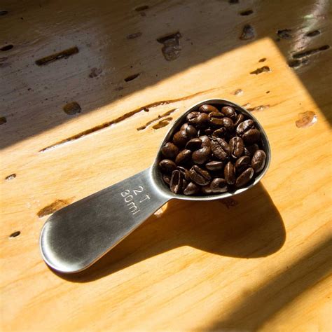 Stainless Steel Coffee Scoop at the Nut House