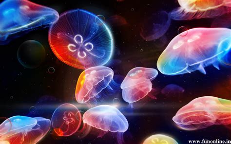 Animated Jellyfish Wallpaper - WallpaperSafari