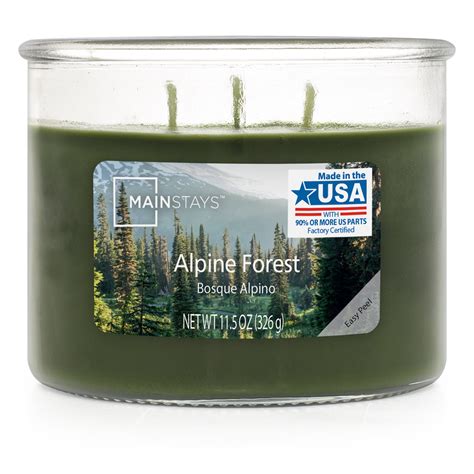 Shop Mainstays Alpine Forest 3 Wick Jar Candle 11 5 Oz Great Prices