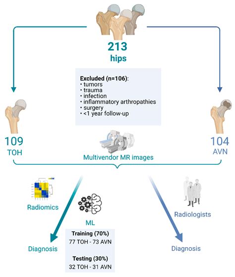 Diagnostics Free Full Text Radiomics And Machine Learning Can