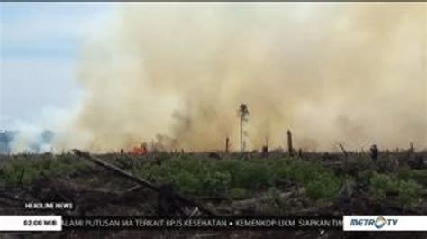 10 Hektare Lahan Gambut Kering Di Aceh Terbakar Video Dailymotion