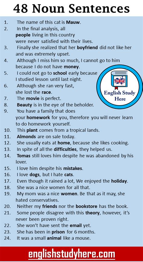 48 Examples of Noun Sentences, Noun Examples Sentences - English Study Here