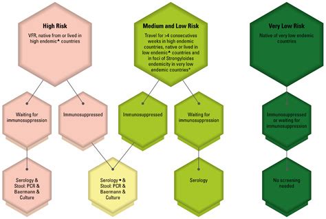 Tropicalmed Free Full Text A Practical Approach To Screening For Strongyloides Stercoralis