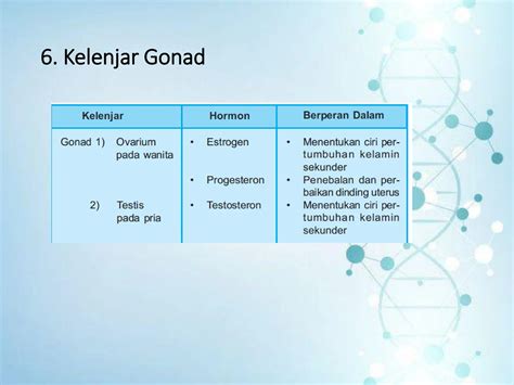 Sistem Hormon Pada Manusia Mapel Biologi Kelas 11 Ppt