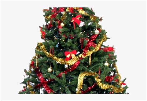 Christmas Tree Png Transparent Images - Home Bargains Christmas Trees ...