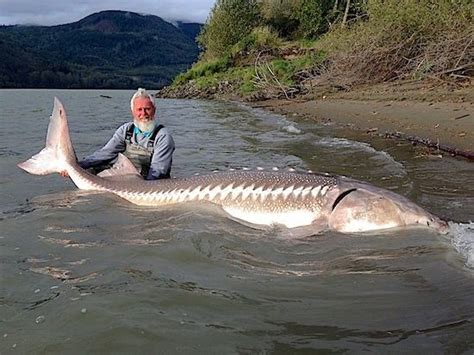 Pin by Rae Whatley on Gone Fishin' | Fishing pictures, Indigenous ... 