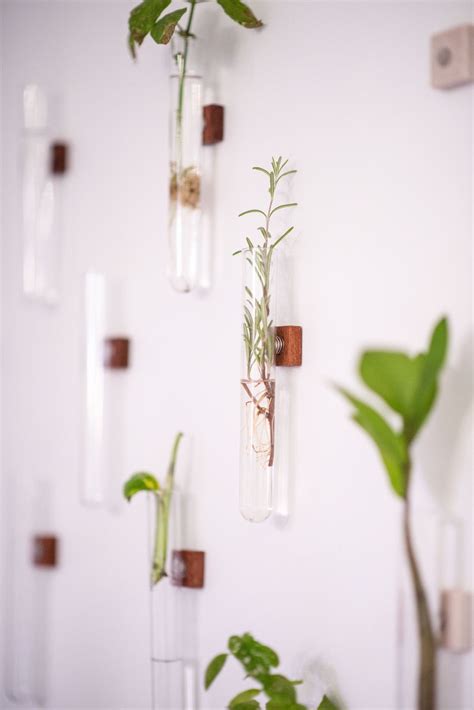 Wall Mounted Plant Propagation Tubes | Etsy