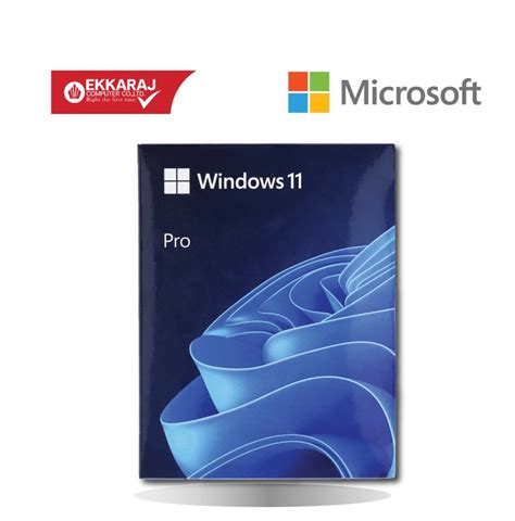 Windows 11 Pro HAV 00163 MS WIN PRO 11 64BIT ENG INTL USB FPP