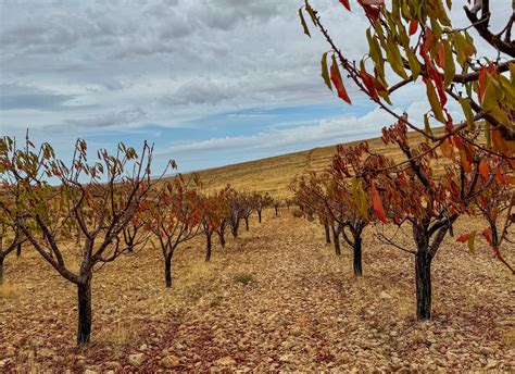 A New Long Distance Hiking Trail By North Lebanon Traveler