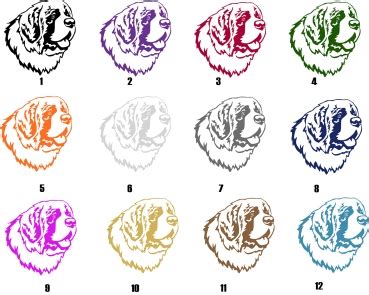 Autoaufkleber Folienaufkleber Bernhardiner Kopf Pfotenshop