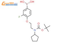 Tert Butoxycarbonyl Cyclopentyl Amino Ethoxy Fluorophenyl