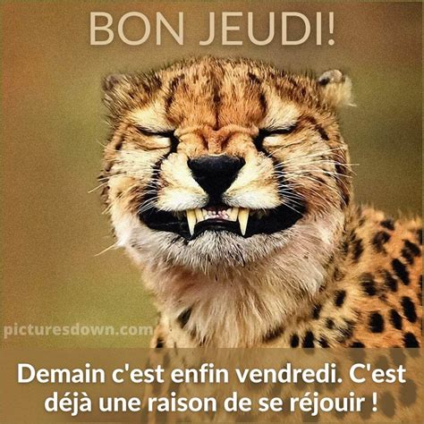 Bon Jeudi Humour Image L Opard Picturesdown