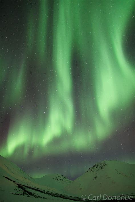 Aurora Borealis The Chandalar Shelf Brooks Range Alaska Carl