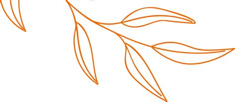 Алтайская Здравница