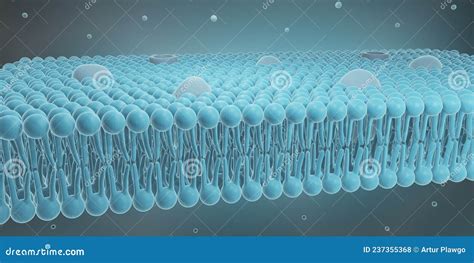 细胞膜结构三维图 库存例证 插画 包括有 健康 蛋白质 概念 双眼 离子 表面 商业 蓝色 237355368