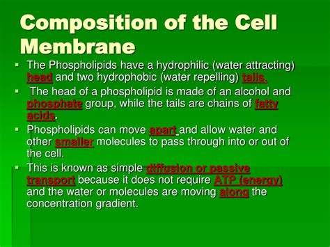 PPT - Cell Membrane and Tonicity Worksheet PowerPoint Presentation, free download - ID:2973492