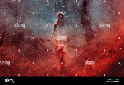 Detailed View Of Ic The Elephant Trunk Nebula Stock Photo Alamy