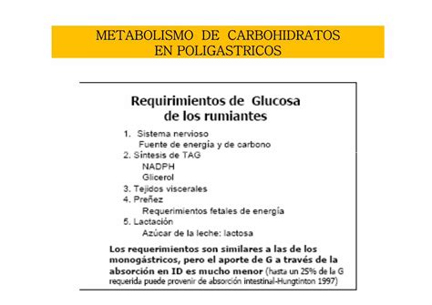 PDF METABOLISMO DE CARBOHIDRATOS EN Celulosa Y Hemicelulosa