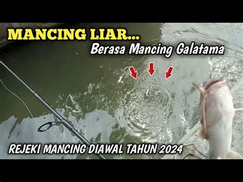 Rejeki Mancing Diawal Tahun Masih Dispot Liar Youtube