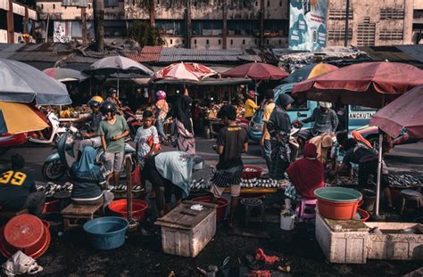 Jenis Jenis Kegiatan Ekonomi Masyarakat Indonesia