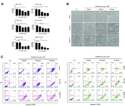 C Majus Extract Induces Apoptosis In Skov 3 Ovcar 3 And Mdah 2773