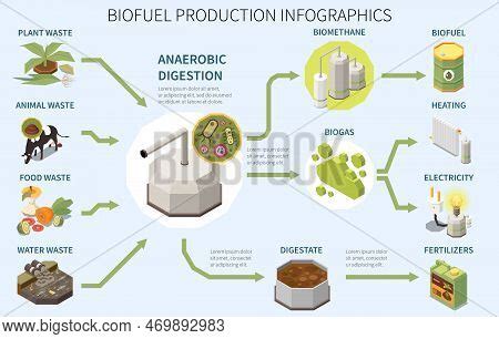 Biofuel Production Vector Photo Free Trial Bigstock