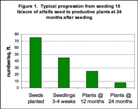 Determining The Optimum Alfalfa Seeding Rate Team Forage