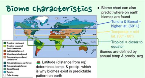 Apes 1 2 Terrestrial Land Biomes Flashcards Quizlet