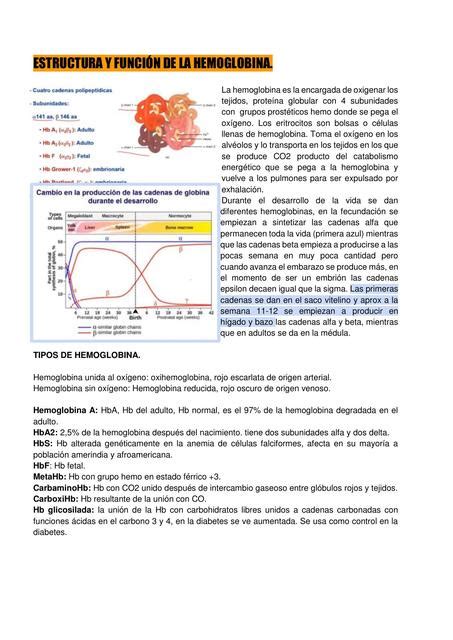 Estructura De La Hemoglobina Brenda Vanessa Montoya Baldrich UDocz