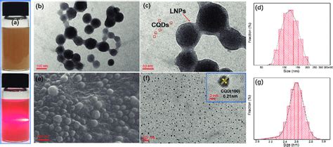 (a) Tyndall effect image of the colloidal solution. (b) and (c) TEM ...