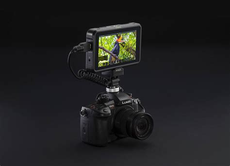 Atomos Shinobi 5 HDR Photo Video Monitor