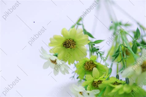 Cute Floral Background Image | PSD Backgrounds Free Download - Pikbest