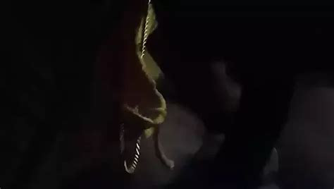 Aunty Vayile Eduppu Indian Milk Blowjob Porn XHamster