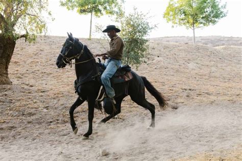 Horse Sounds: Guide to Understanding Equine Communication - All About ...