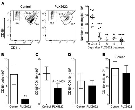 PLX5622 Treatment Specifically Depletes Microglia After PLX5622