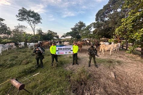 Ocupan Bienes Del Narcotr Fico Con Fines De Extinci N De Dominio