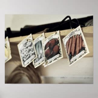 Vintage Seed Packets Posters, Vintage Seed Packets Prints, Art Prints ...