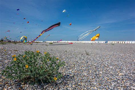 40+ Free Kite Festival & Festival Images