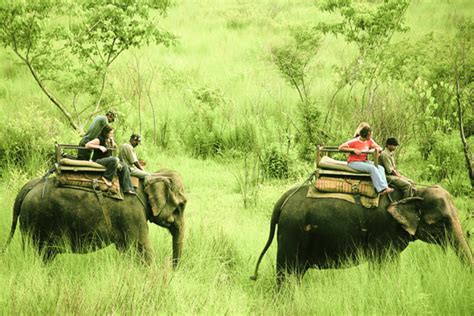 Jungle Safari In Sauraha Chitwan Nepal Thrill