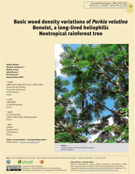 PDF Basic Wood Density Variations Of Parkia Velutina Benoist A Long