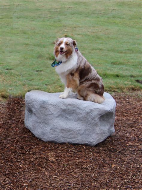 NatureDog™ Small Dog Park Boulder