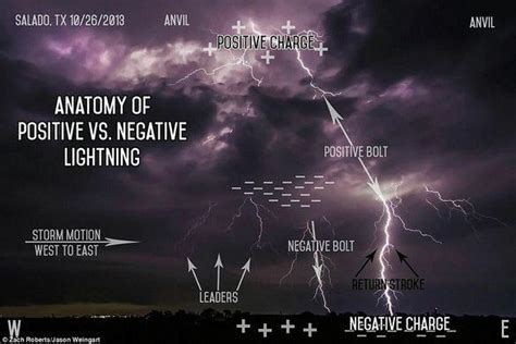 Anatomy of negative vs positive lightning : Lightning